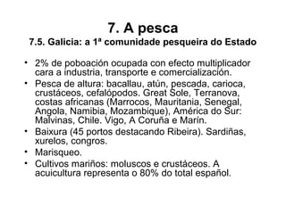 7. A pesca
7.5. Galicia: a 1ª comunidade pesqueira do Estado
• 2% de poboación ocupada con efecto multiplicador
cara a industria, transporte e comercialización.
• Pesca de altura: bacallau, atún, pescada, carioca,
crustáceos, cefalópodos. Great Sole, Terranova,
costas africanas (Marrocos, Mauritania, Senegal,
Angola, Namibia, Mozambique), América do Sur:
Malvinas, Chile. Vigo, A Coruña e Marín.
• Baixura (45 portos destacando Ribeira). Sardiñas,
xurelos, congros.
• Marisqueo.
• Cultivos mariños: moluscos e crustáceos. A
acuicultura representa o 80% do total español.
 