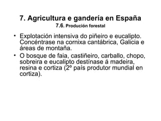 7. Agricultura e gandería en España
7.6. Produción forestal
• Explotación intensiva do piñeiro e eucalipto.
Concéntrase na cornixa cantábrica, Galicia e
áreas de montaña.
• O bosque de faia, castiñeiro, carballo, chopo,
sobreira e eucalipto destínase á madeira,
resina e cortiza (2º país produtor mundial en
cortiza).
 