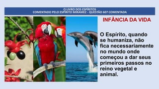 O LIVRO DOS ESPÍRITOS
COMENTADO PELO ESPÍRITO MIRAMEZ - QUESTÃO 607 COMENTADA
INFÂNCIA DA VIDA
O Espírito, quando
se humaniza, não
fica necessariamente
no mundo onde
começou a dar seus
primeiros passos no
reino vegetal e
animal.
 