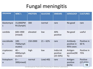 Cerebrospinal Fluid (CSF) Processing In Medical Laboratory
19
 