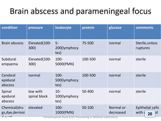 Cerebrospinal Fluid (CSF) Processing In Medical Laboratory
20
 