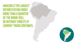SUSTAINABILITY - THE DEFORESTATION OF THE AMAZON BASIN | PPTX
