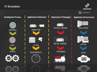 Opennaru, Inc. © 2016 | All Rights Reserved.- Confidential -
IT Evolution
 