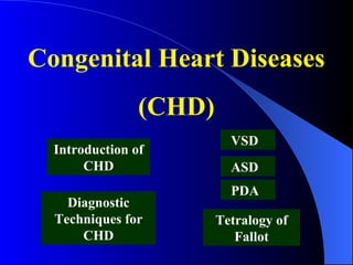 Congenital Heart Diseases (CHD) Diagnostic Techniques for CHD VSD Tetralogy of Fallot ASD PDA Introduction of CHD 