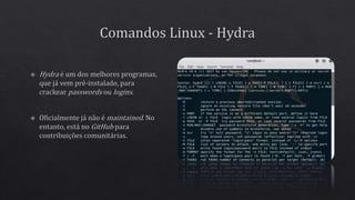 Distribuições Linux - Kali