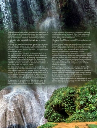 Entre los lugares de mayor belleza natural en Cuba se encuentra El
Nicho, ubicado en la provincia de Cienfuegos. Esta pequeña reserva
natural se ha convertido en un punto de visita casi obligatorio
para los amantes de la naturaleza, el senderismo y la aventura.
Lo que debes saber acerca de El Nicho y lo que no puedes
perderte.
El Nicho es una pequeña reserva natural que pertenece al Parque
Topes de Collantes, justo a los pies de la Sierra del Escambray.
El peculiar nombre de esta reserva se debe a la cascada del río
Hanabanilla, una visión cristalina que recibe a los senderistas en
el corazón de El Nicho.
Para los amantes de las actividades al aire libre El Nicho es el
sitio adecuado para ir. No solo te permitirá realizar senderismo
sino que podrás refrescarte en las numerosas piscinas naturales
que flanquean el camino hacia la cascada. Tan deslumbrante
es este paso que ha sido nombrado Reino de las Aguas por los
habitantes de la zona. Sin dudas, un chapuzón inolvidable que te
dejará como nuevo para seguir tu camino.
Otra de las actividades que mayor atención atrae en El Nicho es
la observación de aves. Esta reserva natural es un área protegida,
lo que significa que su fauna se mantiene intacta y, por esto, se
convierte en un sitio ideal para apreciar la vida silvestre local. La
zona es, además, la casa del ave nacional de Cuba: el tocororo,
una majestuosa ave que ostenta los colores de la bandera de la
Isla y que resulta, sin duda alguna, de una belleza enigmática.
No te preocupes por la comida aquí, si algo es seguro es que los
restaurantes del área te dejarán con el deseo de volver luego de
probar los platos típicos cubanos cocinados por manos expertas.
El Nicho, located in the province of Cienfuegos, is one of the
most beautiful natural settings in Cuba. Visits to this small
nature reserve have become a one-of-a-kind experience for
nature, hiking and adventure lovers.
What you should know about El Nicho and what not
to miss
El Nicho is a small nature reserve that belongs to the Topes de
Collantes Park, right at the foot of the Sierra del Escambray.
There's a fun fact behind the name of the reserve; it was called
after the waterfall of the Hanabanilla River, a crystalline
vision that welcomes hikers in the heart of El Nicho.
For fans of outdoor activities, El Nicho is a wonderful option.
Explorers can go hiking or they may simply enjoy the natural
pools that flank the path to the waterfall. This landscape is so
dazzling that it was granted a special title by the inhabitants
of the area: "Kingdom of the Waters". Undoubtedly, an
unforgettable swim that will leave you as good as new to
continue on your way.
Bird watching is another popular activity at El Nicho. This
natural reserve is a protected area, which means that its
fauna remains intact, making it an ideal place to appreciate
the local wildlife. El Nicho is also the home to Cuba's national
bird: the tocororo, a majestic bird that displays the colors of
the island's flag and is enigmatically gorgeous.
Don't worry about the culinary offer, the restaurants in the area
will leave you with the desire to come back after tasting the typical
Cuban dishes cooked by expert hands.
Guía del Ocio y la Cultura en Cuba 27
 