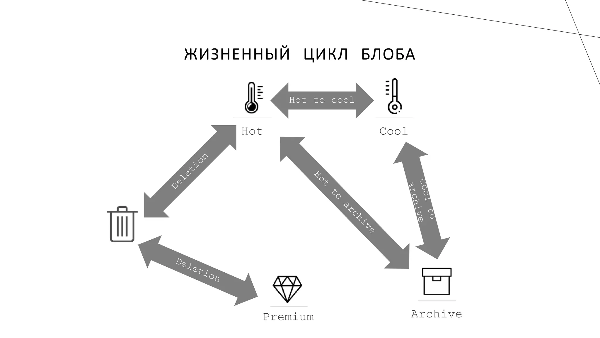 ЖИЗНЕННЫЙ ЦИКЛ БЛОБА
 