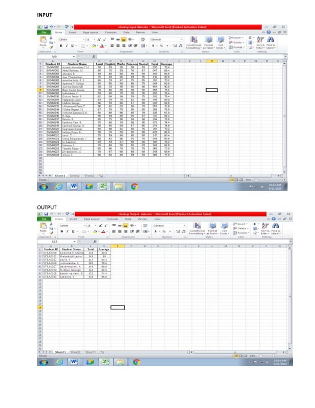 Worksheets with v look up function input & output | PDF