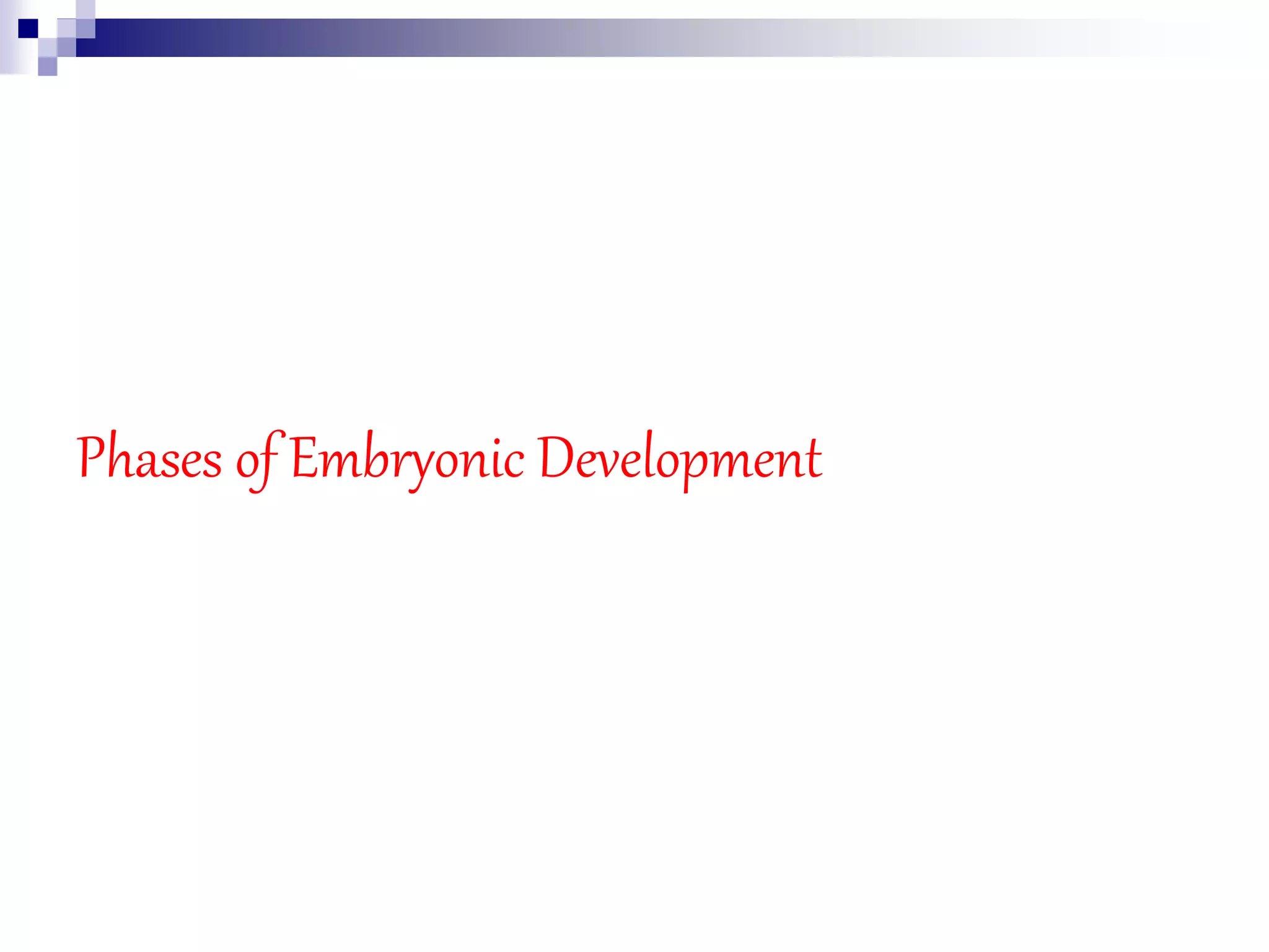 04.PhasesofEmbryonicdevelopment.ppt