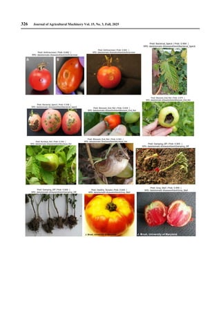 Tomato Classification Detection and Classification of Some Diseases of Tomato Crops Using ...