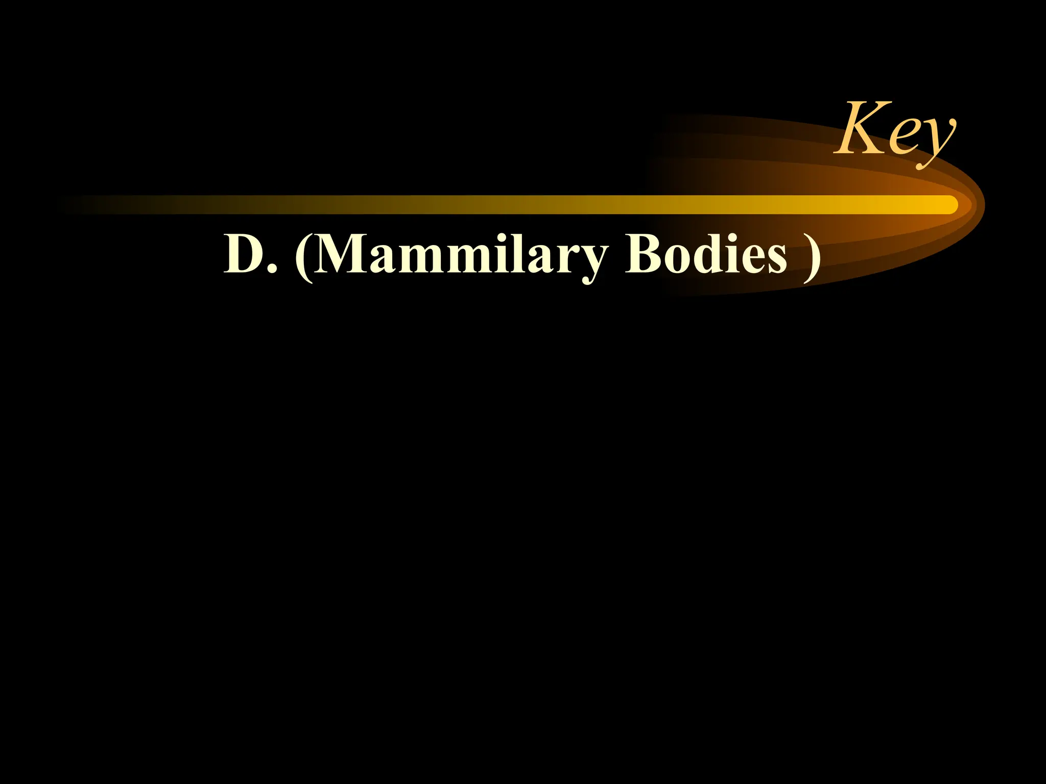 Key
D. (Mammilary Bodies )
 