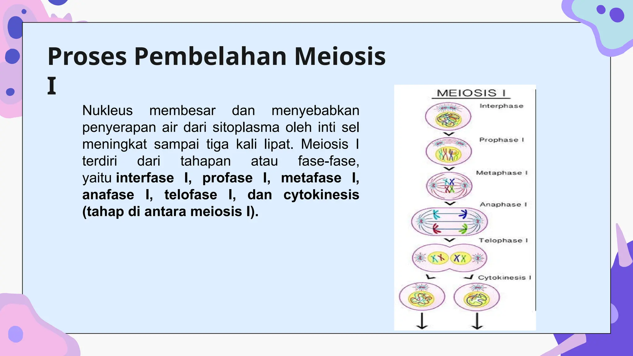Materi Ajar tentang Siklus-siklus Sel dan fungsinya | PPTX