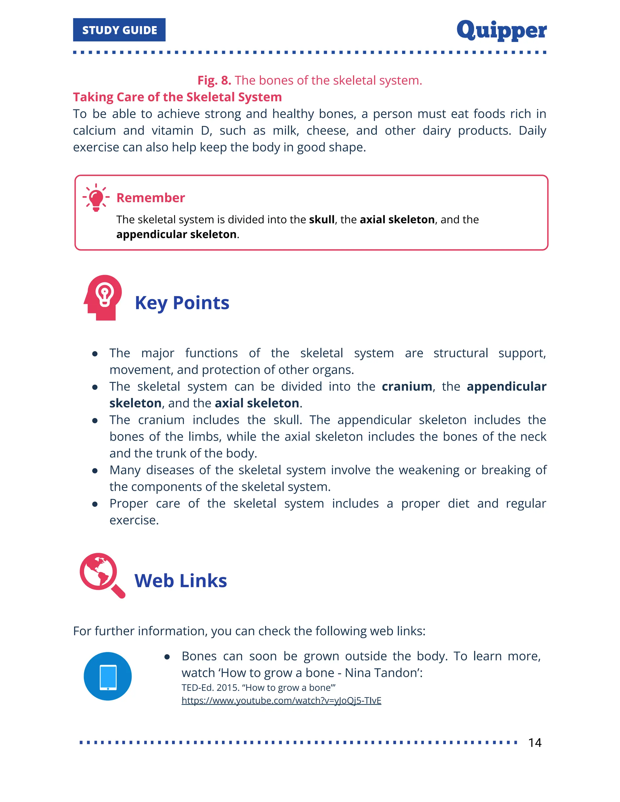 Fig. 8. The bones of the skeletal system.
Taking Care of the Skeletal System
To be able to achieve strong and healthy bones, a person must eat foods rich in
calcium and vitamin D, such as milk, cheese, and other dairy products. Daily
exercise can also help keep the body in good shape.
Key Points
● The major functions of the skeletal system are structural support,
movement, and protection of other organs.
● The skeletal system can be divided into the cranium, the appendicular
skeleton, and the axial skeleton.
● The cranium includes the skull. The appendicular skeleton includes the
bones of the limbs, while the axial skeleton includes the bones of the neck
and the trunk of the body.
● Many diseases of the skeletal system involve the weakening or breaking of
the components of the skeletal system.
● Proper care of the skeletal system includes a proper diet and regular
exercise.
Web Links
For further information, you can check the following web links:
● Bones can soon be grown outside the body. To learn more,
watch ‘How to grow a bone - Nina Tandon’:
TED-Ed. 2015. ‘‘How to grow a bone”’
https://www.youtube.com/watch?v=yJoQj5-TIvE
14
 