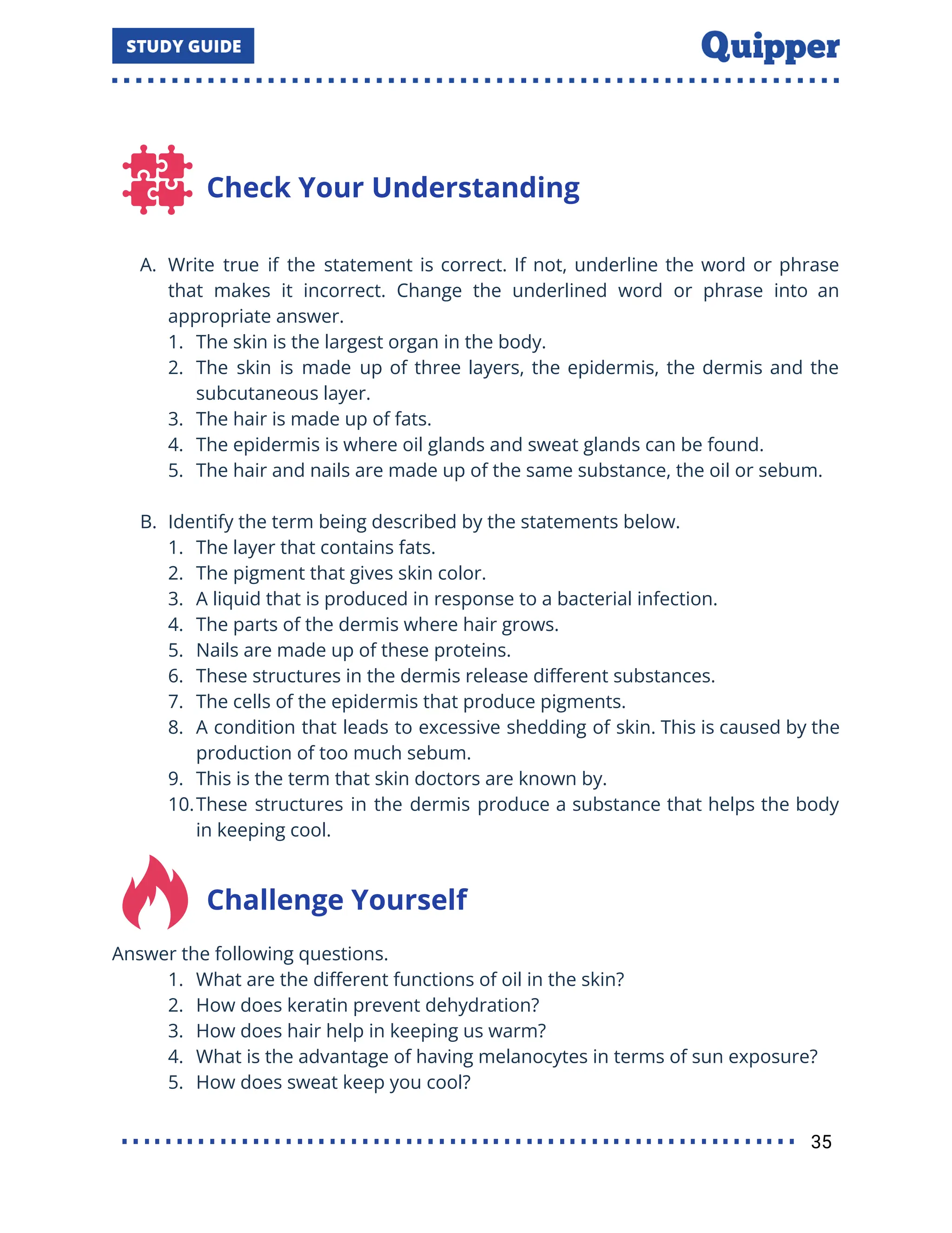 Check Your Understanding
A. Write true if the statement is correct. If not, underline the word or phrase
that makes it incorrect. Change the underlined word or phrase into an
appropriate answer.
1. The skin is the largest organ in the body.
2. The skin is made up of three layers, the epidermis, the dermis and the
subcutaneous layer.
3. The hair is made up of fats.
4. The epidermis is where oil glands and sweat glands can be found.
5. The hair and nails are made up of the same substance, the oil or sebum.
B. Identify the term being described by the statements below.
1. The layer that contains fats.
2. The pigment that gives skin color.
3. A liquid that is produced in response to a bacterial infection.
4. The parts of the dermis where hair grows.
5. Nails are made up of these proteins.
6. These structures in the dermis release diﬀerent substances.
7. The cells of the epidermis that produce pigments.
8. A condition that leads to excessive shedding of skin. This is caused by the
production of too much sebum.
9. This is the term that skin doctors are known by.
10.These structures in the dermis produce a substance that helps the body
in keeping cool.
Challenge Yourself
Answer the following questions.
1. What are the diﬀerent functions of oil in the skin?
2. How does keratin prevent dehydration?
3. How does hair help in keeping us warm?
4. What is the advantage of having melanocytes in terms of sun exposure?
5. How does sweat keep you cool?
35
 