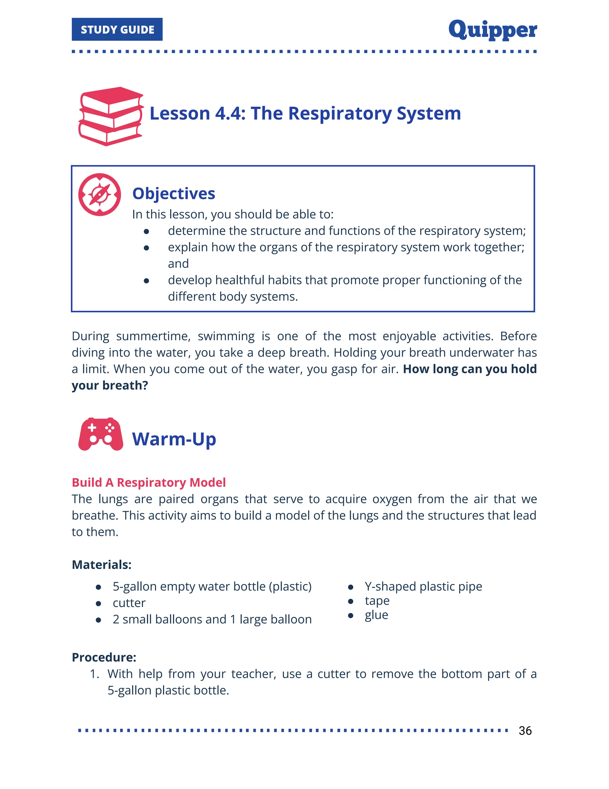 Lesson 4.4: The Respiratory System
Objectives
In this lesson, you should be able to:
● determine the structure and functions of the respiratory system;
● explain how the organs of the respiratory system work together;
and
● develop healthful habits that promote proper functioning of the
diﬀerent body systems.
During summertime, swimming is one of the most enjoyable activities. Before
diving into the water, you take a deep breath. Holding your breath underwater has
a limit. When you come out of the water, you gasp for air. How long can you hold
your breath?
Warm-Up
Build A Respiratory Model
The lungs are paired organs that serve to acquire oxygen from the air that we
breathe. This activity aims to build a model of the lungs and the structures that lead
to them.
Materials:
● 5-gallon empty water bottle (plastic)
● cutter
● 2 small balloons and 1 large balloon
● Y-shaped plastic pipe
● tape
● glue
Procedure:
1. With help from your teacher, use a cutter to remove the bottom part of a
5-gallon plastic bottle.
36
 