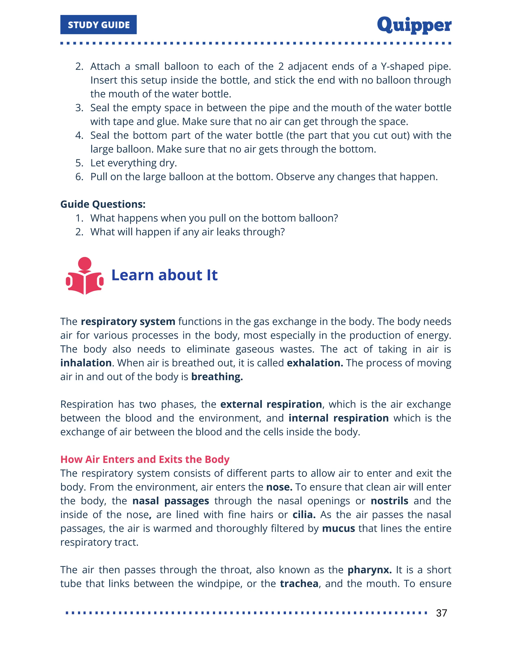 2. Attach a small balloon to each of the 2 adjacent ends of a Y-shaped pipe.
Insert this setup inside the bottle, and stick the end with no balloon through
the mouth of the water bottle.
3. Seal the empty space in between the pipe and the mouth of the water bottle
with tape and glue. Make sure that no air can get through the space.
4. Seal the bottom part of the water bottle (the part that you cut out) with the
large balloon. Make sure that no air gets through the bottom.
5. Let everything dry.
6. Pull on the large balloon at the bottom. Observe any changes that happen.
Guide Questions:
1. What happens when you pull on the bottom balloon?
2. What will happen if any air leaks through?
Learn about It
The respiratory system functions in the gas exchange in the body. The body needs
air for various processes in the body, most especially in the production of energy.
The body also needs to eliminate gaseous wastes. The act of taking in air is
inhalation. When air is breathed out, it is called exhalation. The process of moving
air in and out of the body is breathing.
Respiration has two phases, the external respiration, which is the air exchange
between the blood and the environment, and internal respiration which is the
exchange of air between the blood and the cells inside the body.
How Air Enters and Exits the Body
The respiratory system consists of diﬀerent parts to allow air to enter and exit the
body. From the environment, air enters the nose. To ensure that clean air will enter
the body, the nasal passages through the nasal openings or nostrils and the
inside of the nose, are lined with ﬁne hairs or cilia. As the air passes the nasal
passages, the air is warmed and thoroughly ﬁltered by mucus that lines the entire
respiratory tract.
The air then passes through the throat, also known as the pharynx. It is a short
tube that links between the windpipe, or the trachea, and the mouth. To ensure
37
 