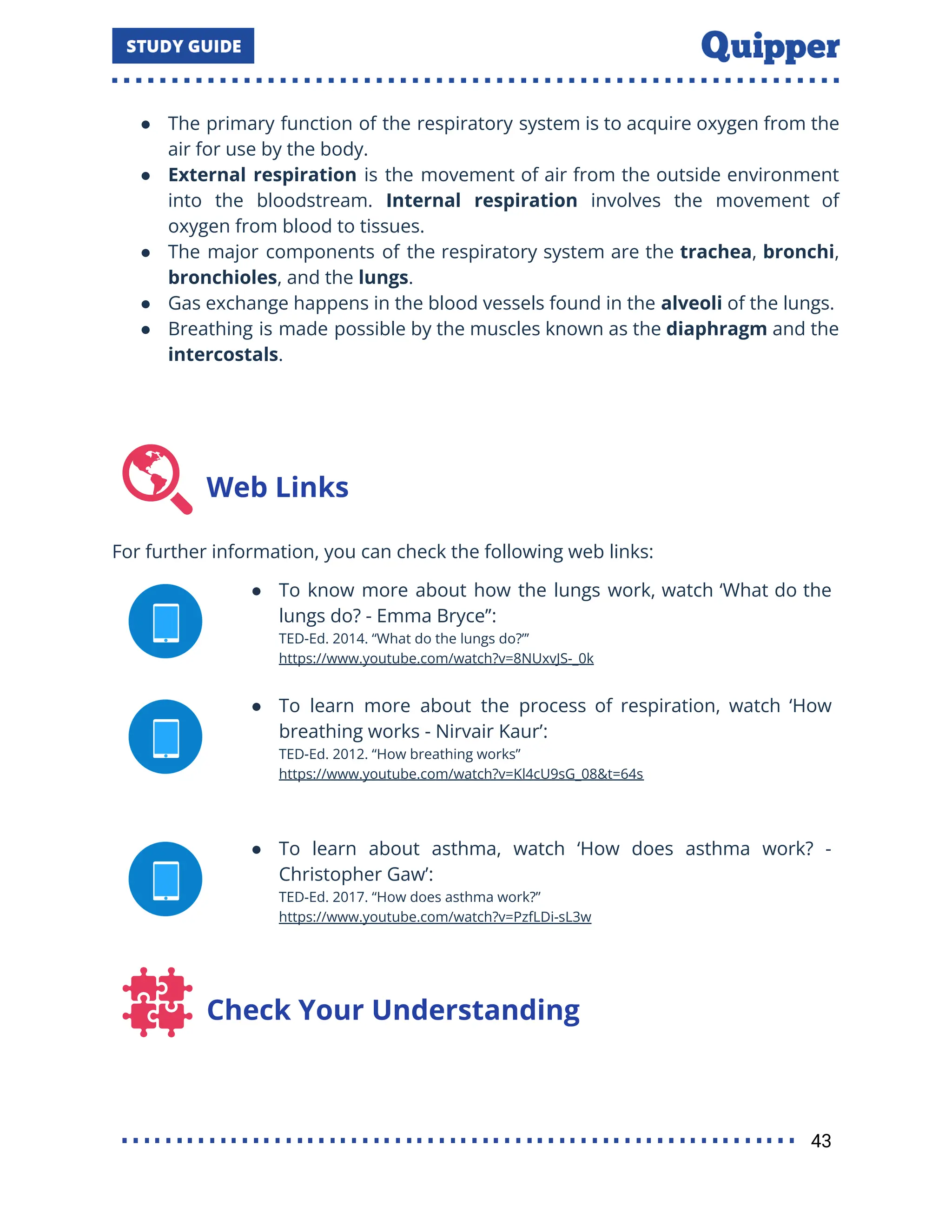 ● The primary function of the respiratory system is to acquire oxygen from the
air for use by the body.
● External respiration is the movement of air from the outside environment
into the bloodstream. Internal respiration involves the movement of
oxygen from blood to tissues.
● The major components of the respiratory system are the trachea, bronchi,
bronchioles, and the lungs.
● Gas exchange happens in the blood vessels found in the alveoli of the lungs.
● Breathing is made possible by the muscles known as the diaphragm and the
intercostals.
Web Links
For further information, you can check the following web links:
● To know more about how the lungs work, watch ‘What do the
lungs do? - Emma Bryce’’:
TED-Ed. 2014. ‘‘What do the lungs do?”’
https://www.youtube.com/watch?v=8NUxvJS-_0k
● To learn more about the process of respiration, watch ‘How
breathing works - Nirvair Kaur’:
TED-Ed. 2012. “How breathing works”
https://www.youtube.com/watch?v=Kl4cU9sG_08&t=64s
● To learn about asthma, watch ‘How does asthma work? -
Christopher Gaw’:
TED-Ed. 2017. “How does asthma work?”
https://www.youtube.com/watch?v=PzfLDi-sL3w
Check Your Understanding
43
 