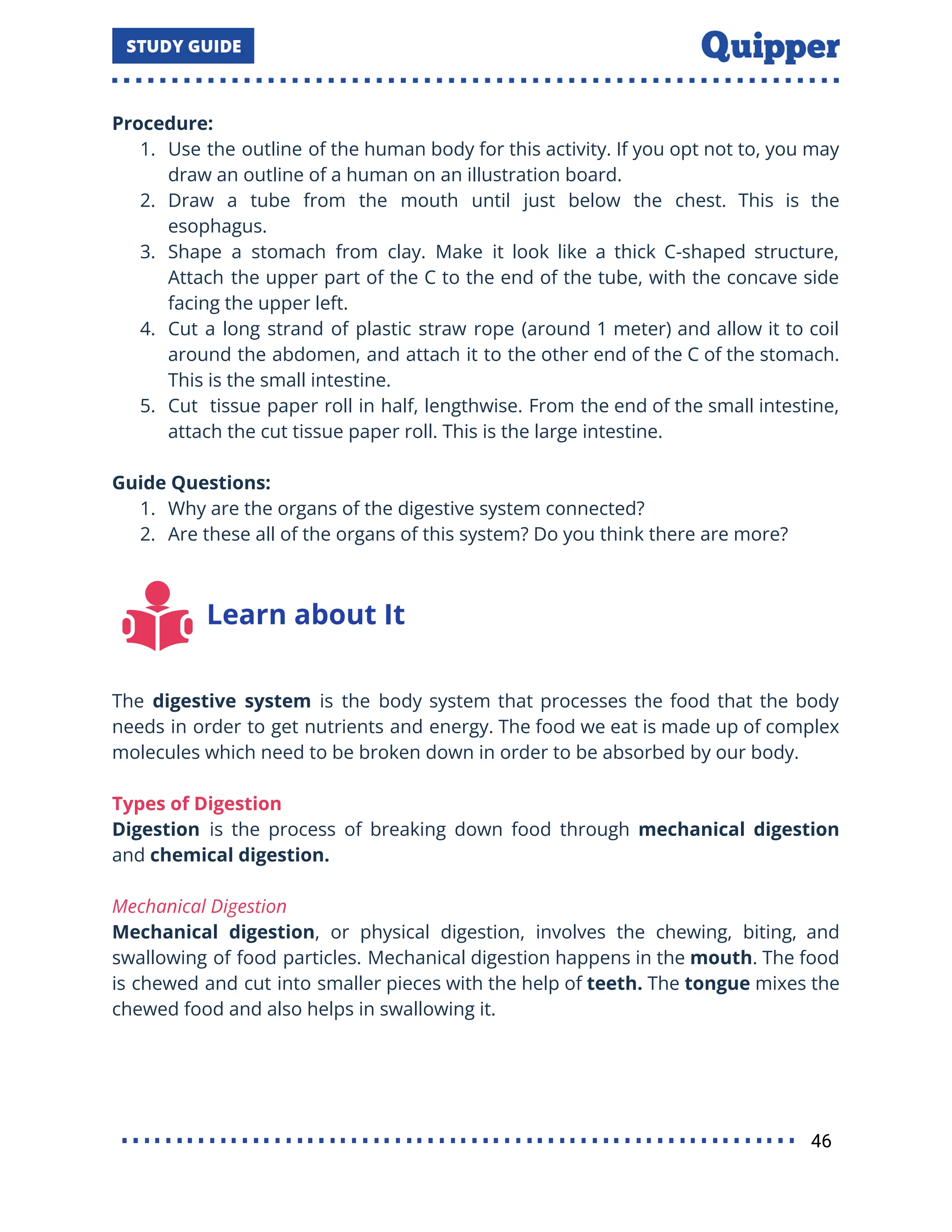 Procedure:
1. Use the outline of the human body for this activity. If you opt not to, you may
draw an outline of a human on an illustration board.
2. Draw a tube from the mouth until just below the chest. This is the
esophagus.
3. Shape a stomach from clay. Make it look like a thick C-shaped structure,
Attach the upper part of the C to the end of the tube, with the concave side
facing the upper left.
4. Cut a long strand of plastic straw rope (around 1 meter) and allow it to coil
around the abdomen, and attach it to the other end of the C of the stomach.
This is the small intestine.
5. Cut tissue paper roll in half, lengthwise. From the end of the small intestine,
attach the cut tissue paper roll. This is the large intestine.
Guide Questions:
1. Why are the organs of the digestive system connected?
2. Are these all of the organs of this system? Do you think there are more?
Learn about It
The digestive system is the body system that processes the food that the body
needs in order to get nutrients and energy. The food we eat is made up of complex
molecules which need to be broken down in order to be absorbed by our body.
Types of Digestion
Digestion is the process of breaking down food through mechanical digestion
and chemical digestion.
Mechanical Digestion
Mechanical digestion, or physical digestion, involves the chewing, biting, and
swallowing of food particles. Mechanical digestion happens in the mouth. The food
is chewed and cut into smaller pieces with the help of teeth. The tongue mixes the
chewed food and also helps in swallowing it.
46
 