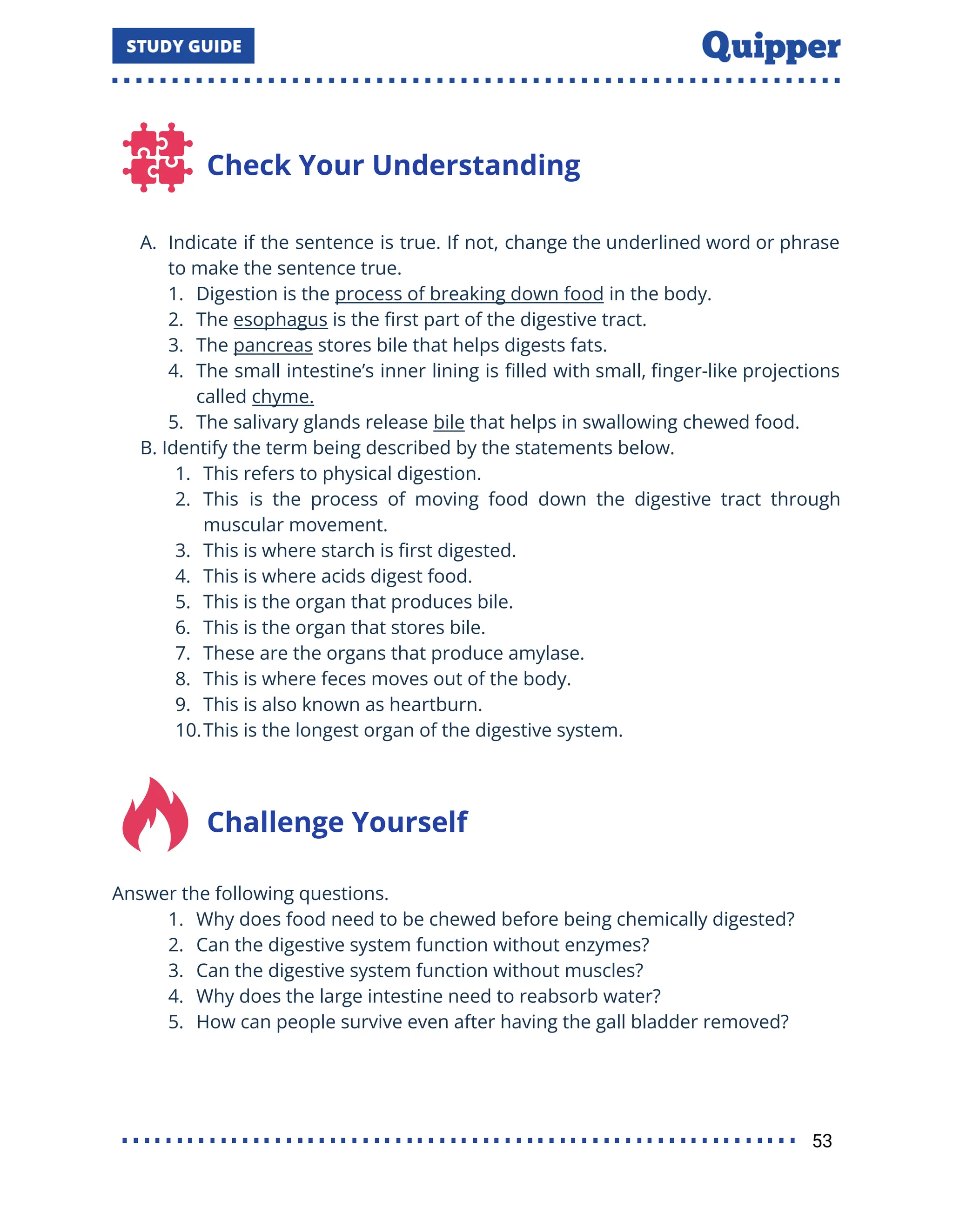 Check Your Understanding
A. Indicate if the sentence is true. If not, change the underlined word or phrase
to make the sentence true.
1. Digestion is the process of breaking down food in the body.
2. The esophagus is the ﬁrst part of the digestive tract.
3. The pancreas stores bile that helps digests fats.
4. The small intestine’s inner lining is ﬁlled with small, ﬁnger-like projections
called chyme.
5. The salivary glands release bile that helps in swallowing chewed food.
B. Identify the term being described by the statements below.
1. This refers to physical digestion.
2. This is the process of moving food down the digestive tract through
muscular movement.
3. This is where starch is ﬁrst digested.
4. This is where acids digest food.
5. This is the organ that produces bile.
6. This is the organ that stores bile.
7. These are the organs that produce amylase.
8. This is where feces moves out of the body.
9. This is also known as heartburn.
10.This is the longest organ of the digestive system.
Challenge Yourself
Answer the following questions.
1. Why does food need to be chewed before being chemically digested?
2. Can the digestive system function without enzymes?
3. Can the digestive system function without muscles?
4. Why does the large intestine need to reabsorb water?
5. How can people survive even after having the gall bladder removed?
53
 