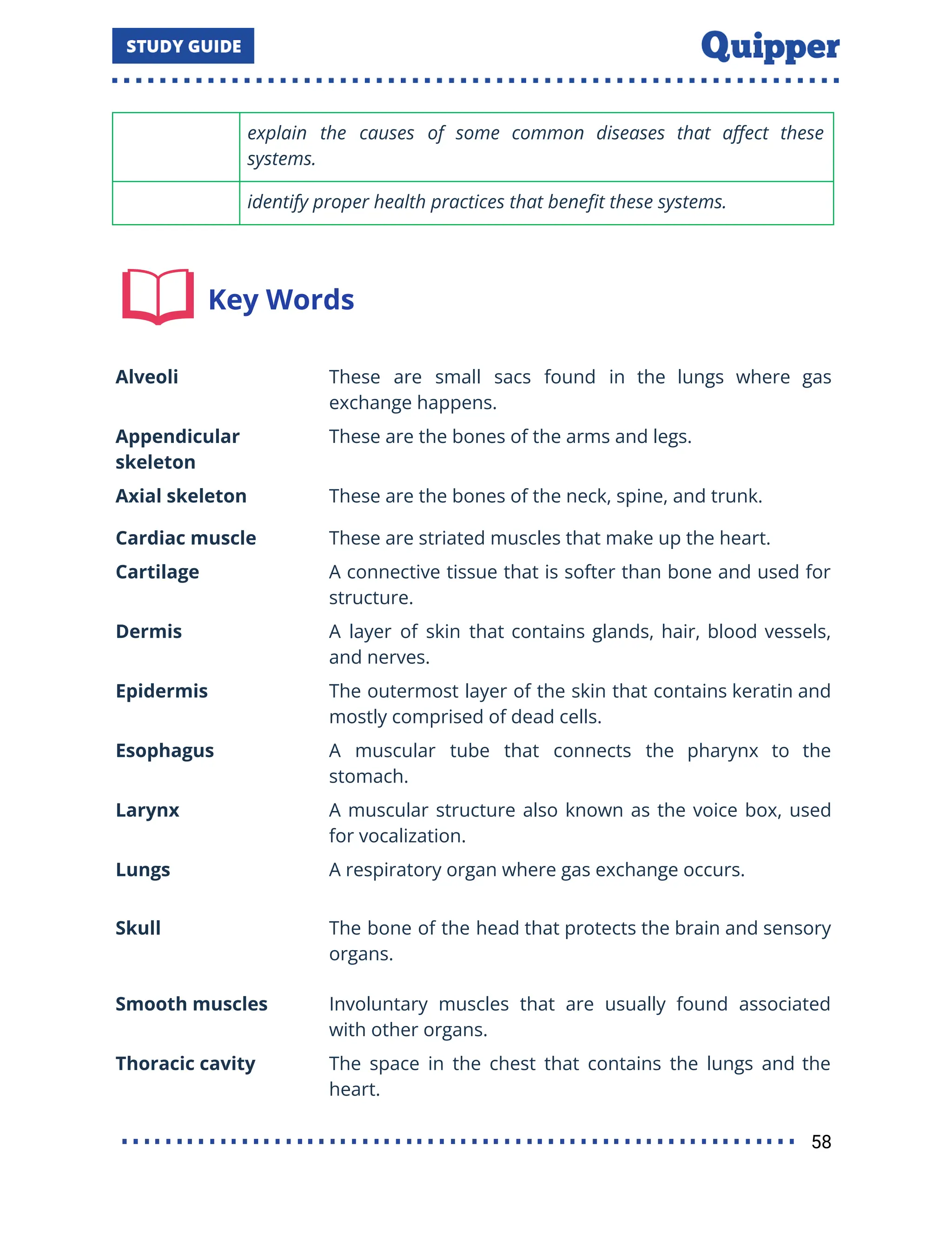 explain the causes of some common diseases that aﬀect these
systems.
identify proper health practices that beneﬁt these systems.
Key Words
Alveoli These are small sacs found in the lungs where gas
exchange happens.
Appendicular
skeleton
These are the bones of the arms and legs.
Axial skeleton These are the bones of the neck, spine, and trunk.
Cardiac muscle These are striated muscles that make up the heart.
Cartilage A connective tissue that is softer than bone and used for
structure.
Dermis A layer of skin that contains glands, hair, blood vessels,
and nerves.
Epidermis The outermost layer of the skin that contains keratin and
mostly comprised of dead cells.
Esophagus A muscular tube that connects the pharynx to the
stomach.
Larynx A muscular structure also known as the voice box, used
for vocalization.
Lungs A respiratory organ where gas exchange occurs.
Skull The bone of the head that protects the brain and sensory
organs.
Smooth muscles Involuntary muscles that are usually found associated
with other organs.
Thoracic cavity The space in the chest that contains the lungs and the
heart.
58
 