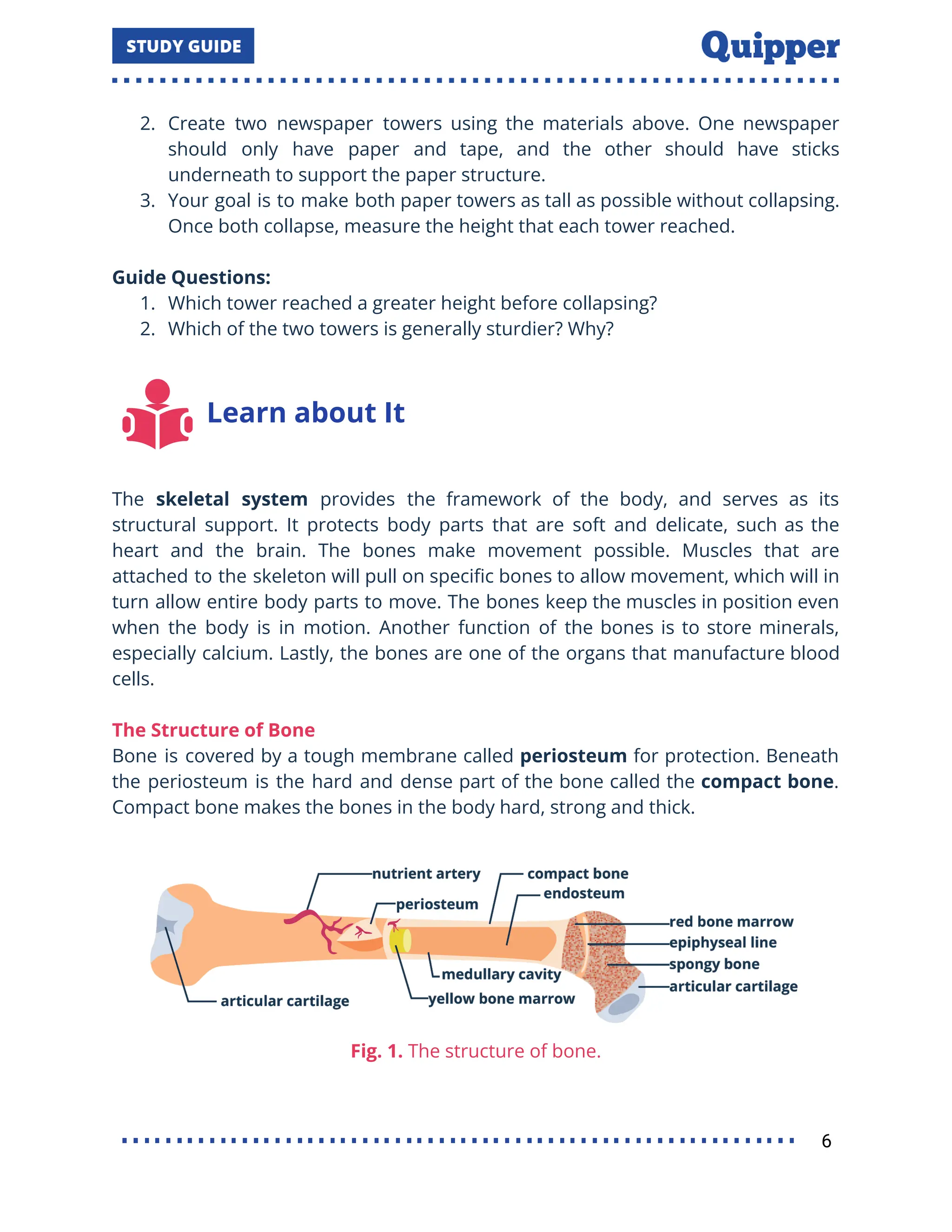 2. Create two newspaper towers using the materials above. One newspaper
should only have paper and tape, and the other should have sticks
underneath to support the paper structure.
3. Your goal is to make both paper towers as tall as possible without collapsing.
Once both collapse, measure the height that each tower reached.
Guide Questions:
1. Which tower reached a greater height before collapsing?
2. Which of the two towers is generally sturdier? Why?
Learn about It
The skeletal system provides the framework of the body, and serves as its
structural support. It protects body parts that are soft and delicate, such as the
heart and the brain. The bones make movement possible. Muscles that are
attached to the skeleton will pull on speciﬁc bones to allow movement, which will in
turn allow entire body parts to move. The bones keep the muscles in position even
when the body is in motion. Another function of the bones is to store minerals,
especially calcium. Lastly, the bones are one of the organs that manufacture blood
cells.
The Structure of Bone
Bone is covered by a tough membrane called periosteum for protection. Beneath
the periosteum is the hard and dense part of the bone called the compact bone.
Compact bone makes the bones in the body hard, strong and thick.
Fig. 1. The structure of bone.
6
 