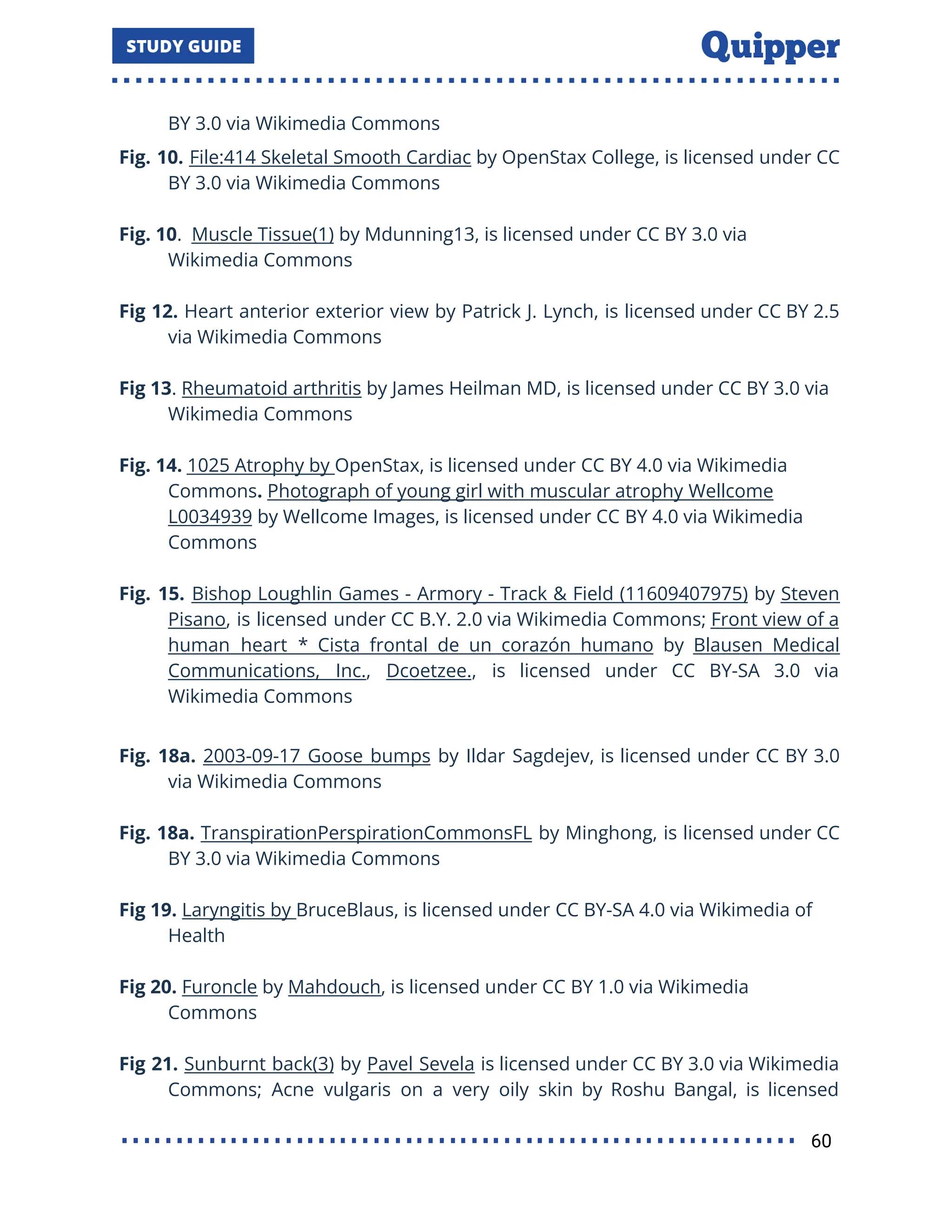 BY 3.0 via Wikimedia Commons
Fig. 10. File:414 Skeletal Smooth Cardiac by OpenStax College, is licensed under CC
BY 3.0 via Wikimedia Commons
Fig. 10. Muscle Tissue(1) by Mdunning13, is licensed under CC BY 3.0 via
Wikimedia Commons
Fig 12. Heart anterior exterior view by Patrick J. Lynch, is licensed under CC BY 2.5
via Wikimedia Commons
Fig 13. Rheumatoid arthritis by James Heilman MD, is licensed under CC BY 3.0 via
Wikimedia Commons
Fig. 14. 1025 Atrophy by OpenStax, is licensed under CC BY 4.0 via Wikimedia
Commons. Photograph of young girl with muscular atrophy Wellcome
L0034939 by Wellcome Images, is licensed under CC BY 4.0 via Wikimedia
Commons
Fig. 15. Bishop Loughlin Games - Armory - Track & Field (11609407975) by Steven
Pisano, is licensed under CC B.Y. 2.0 via Wikimedia Commons; Front view of a
human heart * Cista frontal de un corazón humano by Blausen Medical
Communications, Inc., Dcoetzee., is licensed under CC BY-SA 3.0 via
Wikimedia Commons
Fig. 18a. 2003-09-17 Goose bumps by Ildar Sagdejev, is licensed under CC BY 3.0
via Wikimedia Commons
Fig. 18a. TranspirationPerspirationCommonsFL by Minghong, is licensed under CC
BY 3.0 via Wikimedia Commons
Fig 19. Laryngitis by BruceBlaus, is licensed under CC BY-SA 4.0 via Wikimedia of
Health
Fig 20. Furoncle by Mahdouch, is licensed under CC BY 1.0 via Wikimedia
Commons
Fig 21. Sunburnt back(3) by Pavel Sevela is licensed under CC BY 3.0 via Wikimedia
Commons; Acne vulgaris on a very oily skin by Roshu Bangal, is licensed
60
 
