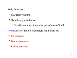 • Body fluids are:
Electrically neutral
Osmotically maintained
• Specific number of particles per volume of fluid
• Homeostasis of fluid & electrolyte maintained by:
Ion transport
Water movement
Kidney function
12
 