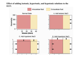 Effect of adding isotonic, hypertonic, and hypotonic solutions to the
ECF:
 