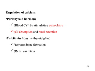 38
Regulation of calcium:
•Parathyroid hormone
↑Blood Ca++
by stimulating osteoclasts
↑GI absorption and renal retention
•Calcitonin from the thyroid gland
Promotes bone formation
↑Renal excretion
 