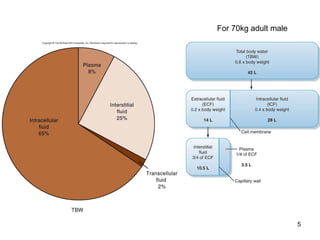 5
For 70kg adult male
 