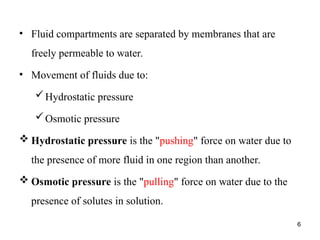 6
• Fluid compartments are separated by membranes that are
freely permeable to water.
• Movement of fluids due to:
Hydrostatic pressure
Osmotic pressure
 Hydrostatic pressure is the "pushing" force on water due to
the presence of more fluid in one region than another.
 Osmotic pressure is the "pulling" force on water due to the
presence of solutes in solution.
 