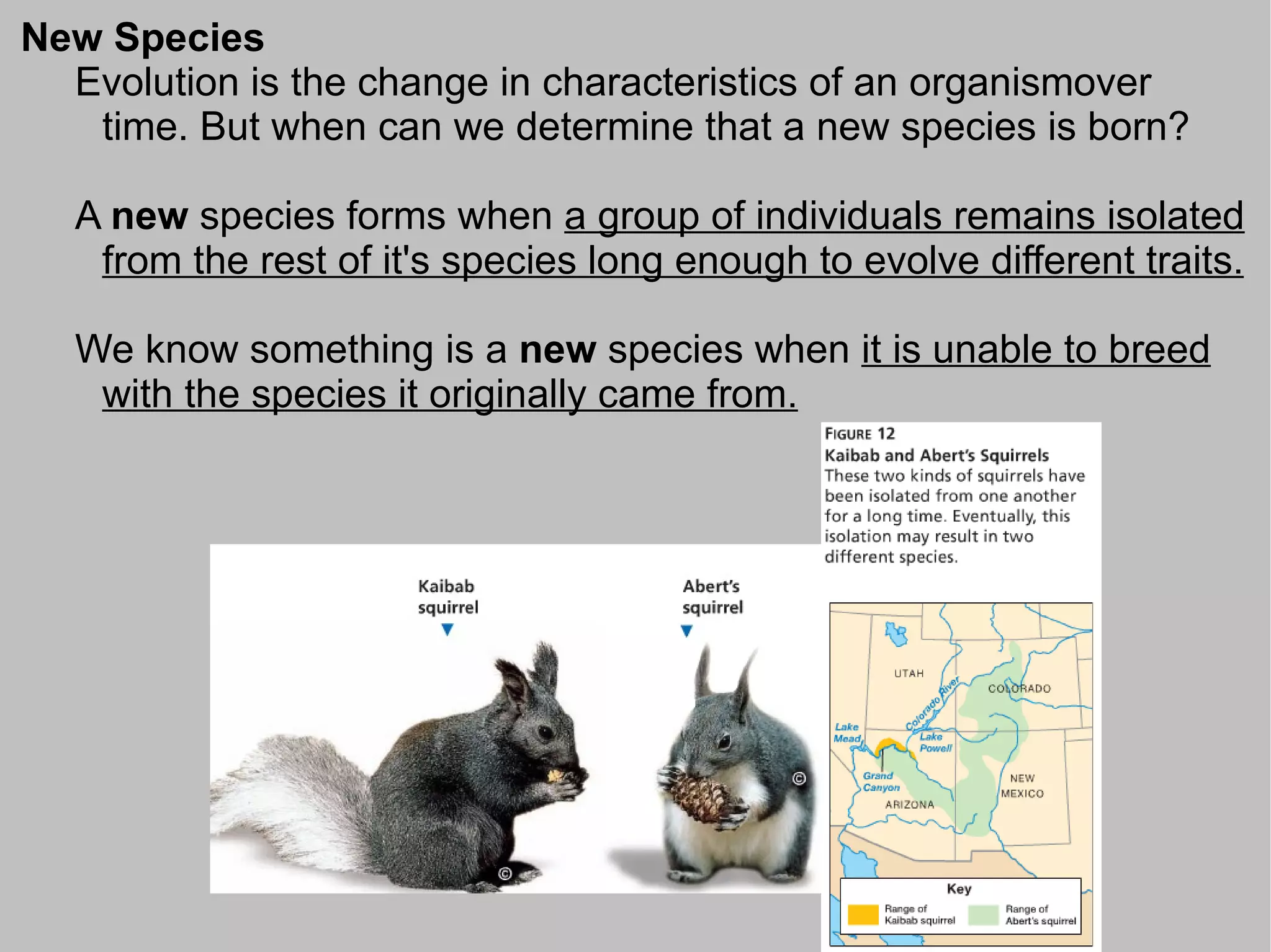 New Species
  Evolution is the change in characteristics of an organismover
   time. But when can we determine that a new species is born?

  A new species forms when a group of individuals remains isolated
   from the rest of it's species long enough to evolve different traits.

  We know something is a new species when it is unable to breed
   with the species it originally came from.
 
