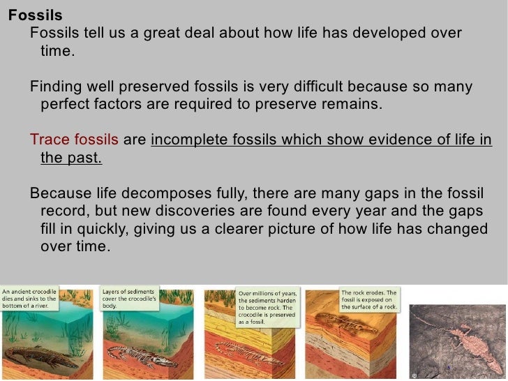7th Grade Life Science Evolution