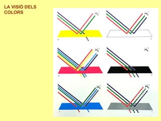 LA VISIÓ DELS
COLORS
 