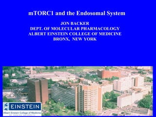 mTORC1 and the Endosomal System JON BACKER DEPT. OF MOLECULAR PHARMACOLOGY ALBERT EINSTEIN COLLEGE OF MEDICINE BRONX,  NEW YORK 