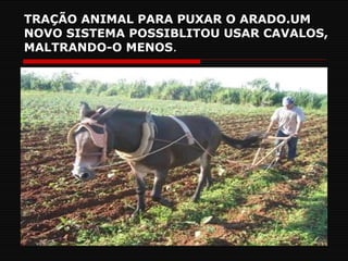 TRAÇÃO ANIMAL PARA PUXAR O ARADO.UM NOVO SISTEMA POSSIBLITOU USAR CAVALOS, MALTRANDO-O MENOS . 