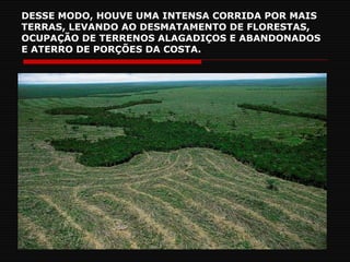 DESSE MODO, HOUVE UMA INTENSA CORRIDA POR MAIS TERRAS, LEVANDO AO DESMATAMENTO DE FLORESTAS, OCUPAÇÃO DE TERRENOS ALAGADIÇOS E ABANDONADOS E ATERRO DE PORÇÕES DA COSTA. 