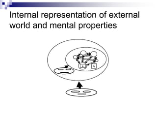 Internal representation of external
world and mental properties
 