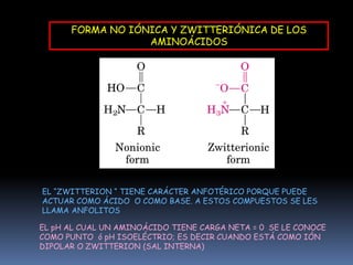 CLASIFICACION DE LOS AMINOÁCIDOS EN BASE A LA CAPACIDAD DE LOS ORGANISMOS PARA SINTETIZARLOS ESENCIALES:                             TREONINA                          TRIPTOFANO                           FENILALANINA                           VALINA                                                     LISINA                           METIONINA                           ISOLEUCINA                           LEUCINA                           HISTIDINA                           ARGININAADULTOSNIÑOSVALOR BIOLOGICO DE UNA PROTEÍNA DE LA DIETA:ES LA MEDIDA EN QUE ESTA PROTEÍNA SATISFACE LOS REQUERIMIENTOS DE AMINOÁCIDOS ESENCIALES PARA EL CRECIMIENTO O EL MANTENIMIENTO DE LAS FUNCIONES DEL ORGANISMO