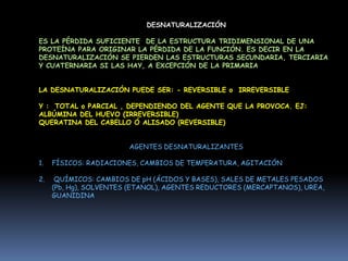 ESTRUCTURA PRIMARIAESTRUCTURA SECUNDARIAESTRUCTURA TERCIARIAESTRUCTURA CUATERNARIAes la disposición regular de los aminoácidos en un segmento de la cadena polipeptídica, en la que cada residuo se relaciona espacialmente con sus vecinos de la misma maneraes la disposición tridimensional global de todos los átomos de una proteína las interacciones que estabilizan esta estructura son:  fuerzas de van derwaals