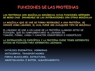  TODAS ESTAN CONSTRUIDAS A PARTIR DEL MISMO CONJUNTO DE  20 AMINOACIDOS UNIDOS EN FORMA COVALENTE