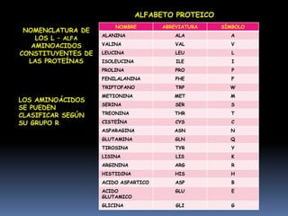 AMINOACIDOS:UNIDADES MONOMERICAS DE LAS PROTEINAS- 20-L-alfa -aminoácidosPARTE COMUNPARTE COMUNαα