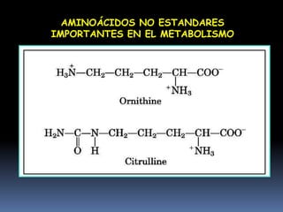 AMINOACIDOS NO ESTANDAR (MODIFICADOS) PRESENTES EN LAS PROTEÍNASPROTROMBINACOLAGENAELASTINAMIOSINA