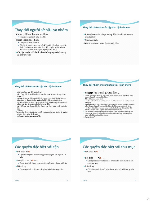 Tùy chọn nhị phân 101 Tùy chọn nhị phân 101