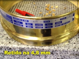 Agregados Mal
Graduados
Agregados Bem
Graduados
Concretos
Qual é mais
econômico?
Área cinza = pasta de cimento
Dica: o cimento é muito
mais caro que o agregado
ElaboraçãoPrópria
 