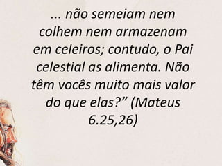 ... não semeiam nem
colhem nem armazenam
em celeiros; contudo, o Pai
celestial as alimenta. Não
têm vocês muito mais valor
do que elas?” (Mateus
6.25,26)
 