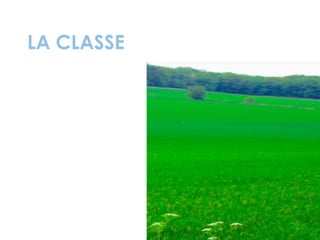 LA CLASSE
 