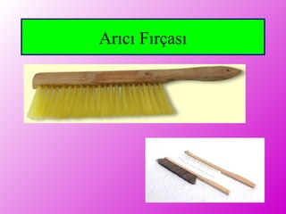 Arıcı Fırçası
 