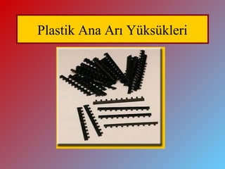 Plastik Ana Arı üü
 