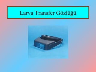 Larva Transfer Gözlüğü
 